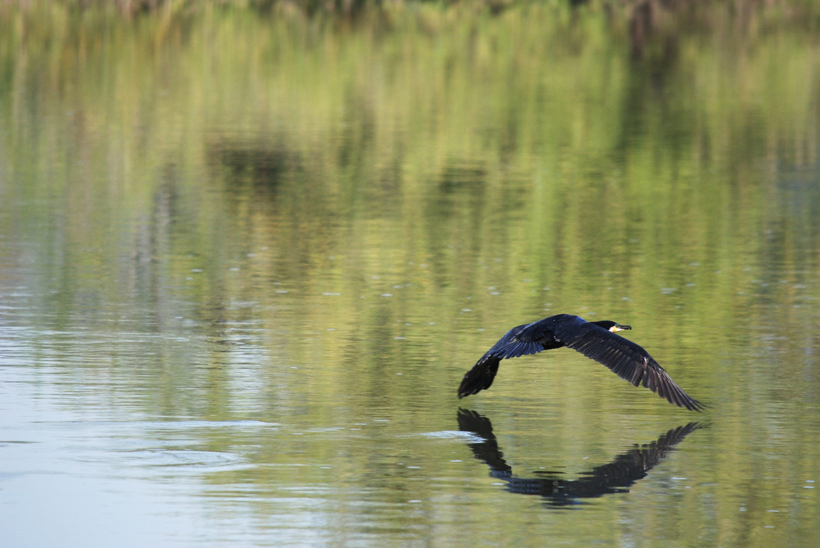 Low flying over the Yonne